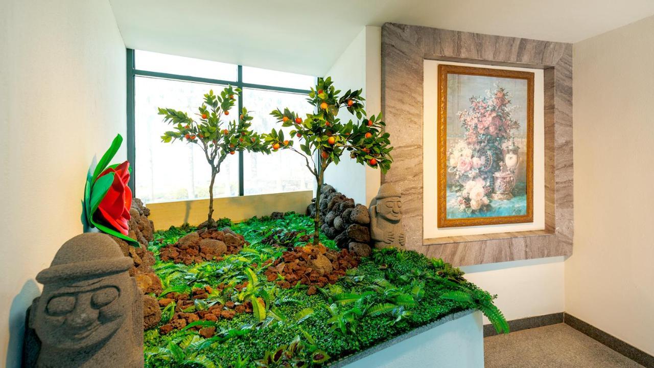 Sea Cliff Hotel 济州市 外观 照片