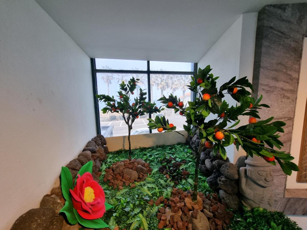 Sea Cliff Hotel 济州市 外观 照片